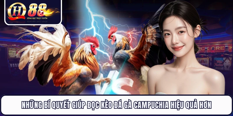 Những bí quyết giúp đọc kèo đá gà Campuchia hiệu quả hơn 